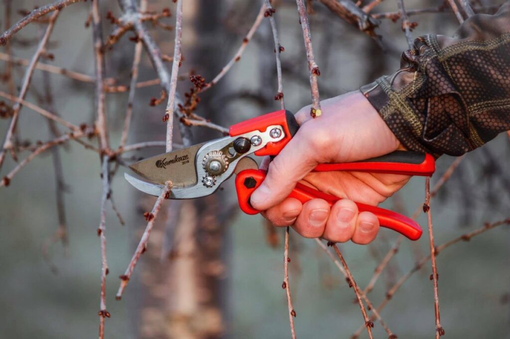 EZ Kut Products » Pruning products since 1988