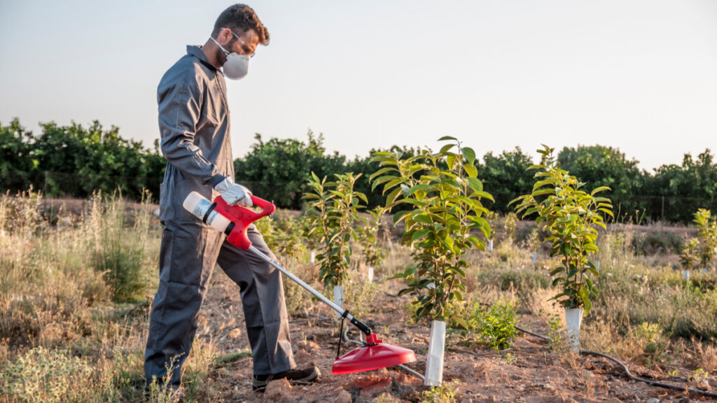 Spraying is an essential technique in the care and maintenance of gardens and crops