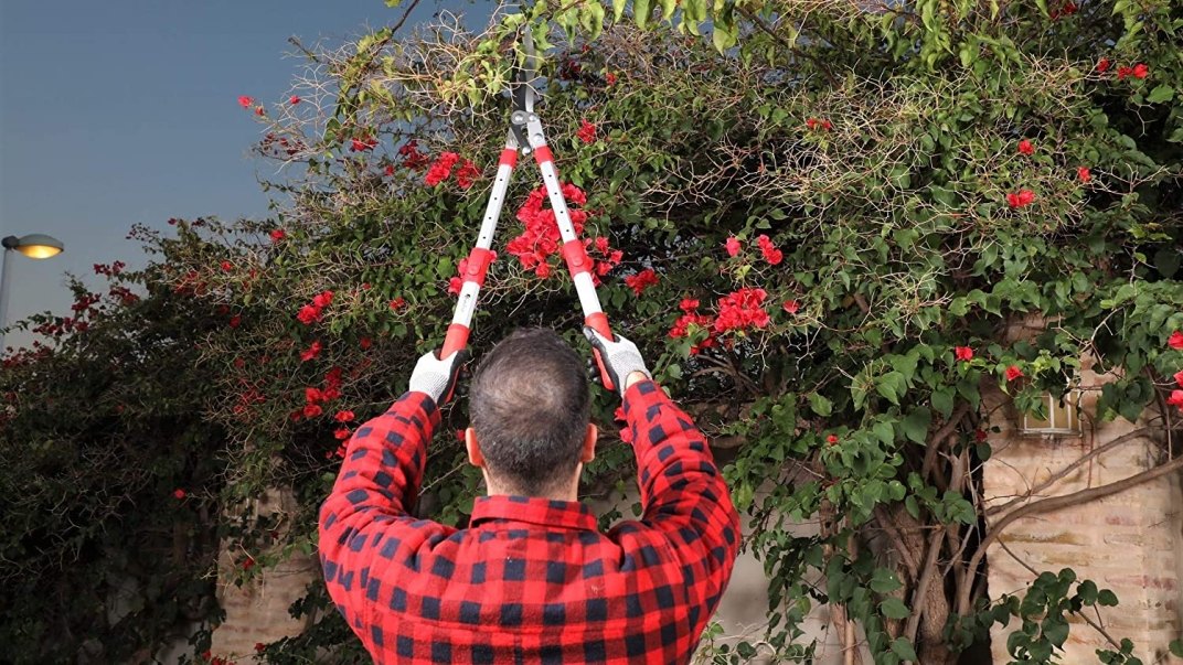 Elevate Your Garden Care with EZKUT: Expert Tips for a Thriving Outdoor Oasis
