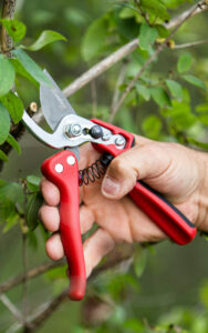 Breathe Easy into Spring: How Gardening Tools Spruce Up Your Outdoor Oasis