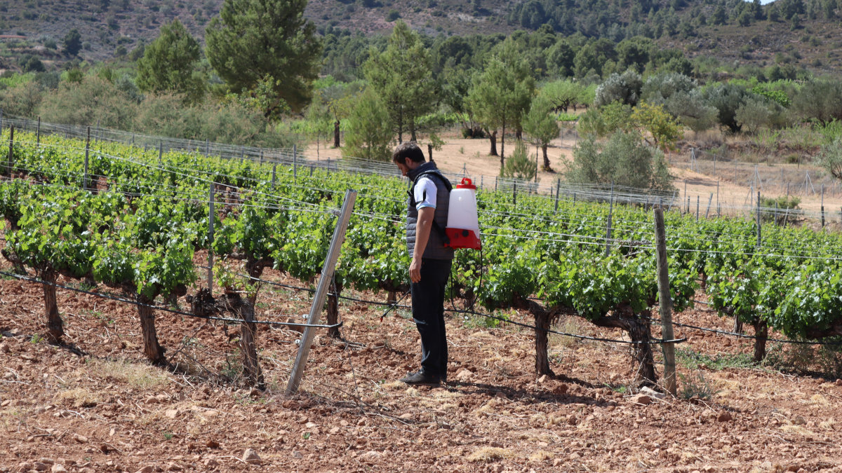 Electric Sprayers for Professional Agriculture